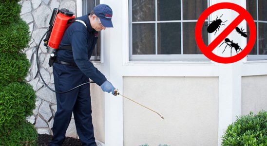 Korgun Akrep İlaçlama böcek ilaçlama ve haşere kontrolü — ilaclama-tr.com